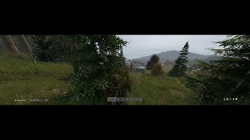 DAYZ DAYS OFFICIAL : DOUBLE KILL!!!