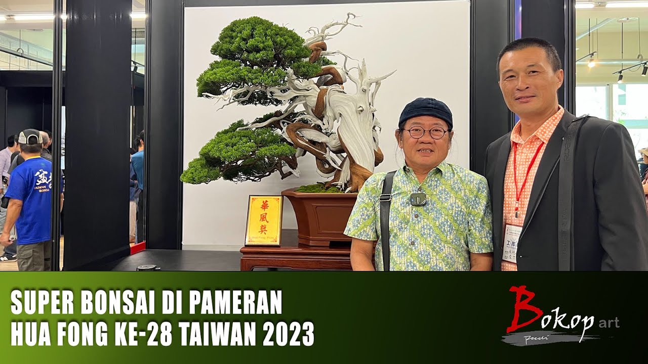SUPER BONSAI di PAMERAN HUA FONG KE-28 TAIWAN 2023