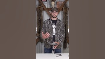 These coyote traps rock! #trapping #coyotes #Ohio #trapline #shorts