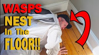 I Can HEAR Them In YOUR Floor | MASSIVE Yellow Jackets Nests