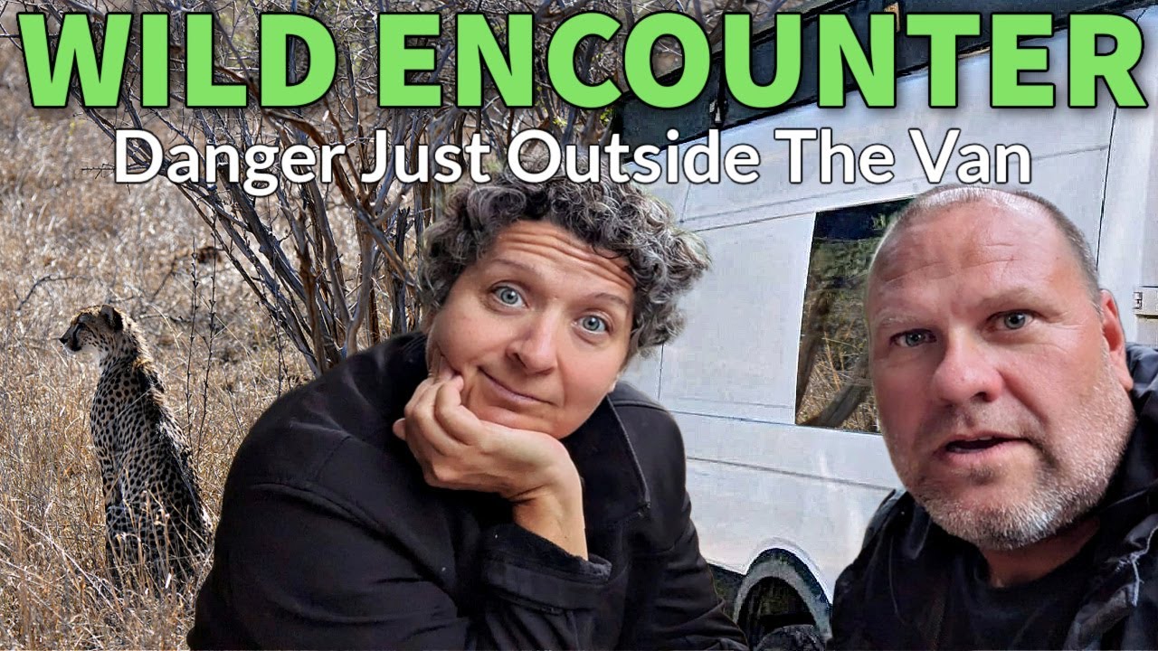 ВНИМАНИЕ: КРУПНЫЕ ДИКАЯ ПРИРОДА! Но больших кошек нет? (Van Life Kruger Safari)