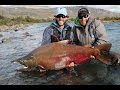 Glaciar Kings - King Salmon Fishing in Patagonia