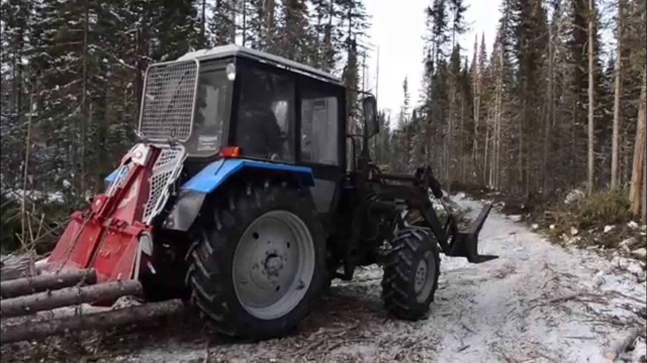 Трактор мтз 82 трелевка леса. Трактор вытаскивает дерево. Мтз 82 лесной трактор. Мтз 1221 трелевочник. Трелевка мтз 82.