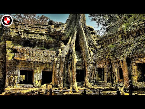 Video: Những Ngôi đền Là Gì