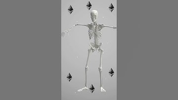 Ethereum vs. Bitcoin: What Sets Them Apart?