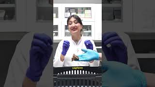 Kedide iç parazit nasıl olur