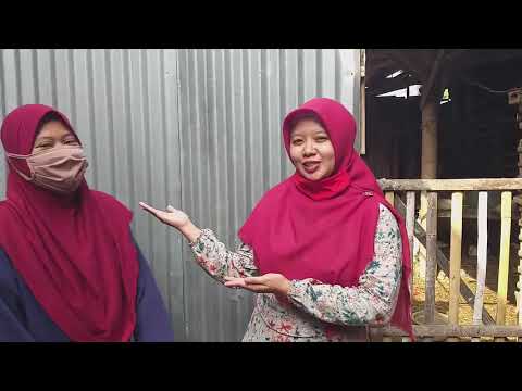 "Ciri-ciri Makhluk Hidup" Bersama Bu Widha Segment 3