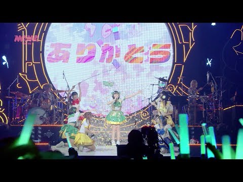 でんぱ組.inc「絢爛マイユース」Live Movie（2019.1.7 at 日本武道館）