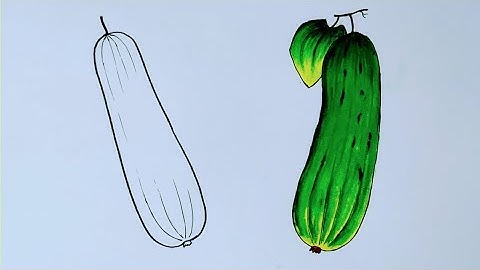 Cucumber drawing / শসা আঁকা শিখুন সহজ কৌশলে / How to draw a cucumber very easy step by step
