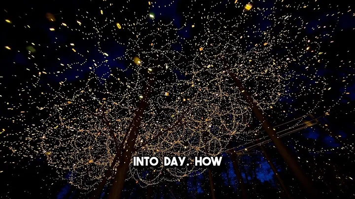 The Secret Dance of Fireflies: Nature's Glowing Symphony