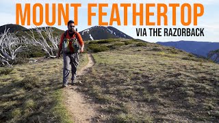 Mount Feathertop via The Razorback: Overnight in the High Country (Alpine National Park, Victoria)