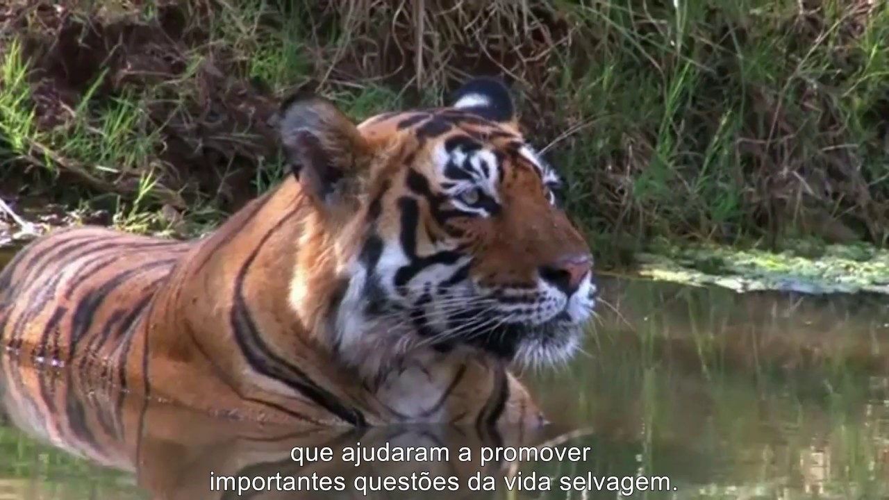 Earthrace Conservation - Legendado em português