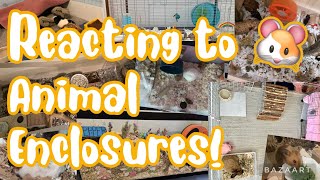 Reacting to my Subscriber’s Animal Enclosures | Ep. 3