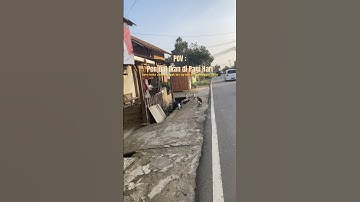 Morning Fish Queue: Cats Wait Their Turn! #cat #cute #morning #shorts #queues