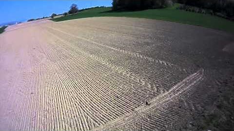 T-Rex 250 vstabi loop-flip-roll-smack