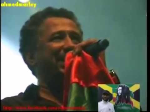         الشاب خالد يغني الرأي على الطريقة الجمايكية