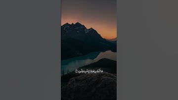 القارئ سالم الرويلي - سورة القلم 🌱