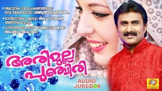 Watch mappilapattukal arimulla punchiri vol-2 kannur shereef hits
latest malayalam mappila songs is the album sung by famous...