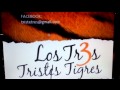 LOS TIGRES Y SU KLAN LA NOCHE DE DORADA EN PUERTO ORDAZ Y MATURIN