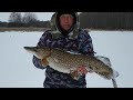 ТРОФЕЙ 2021 Рыбалка на родине, ловля щуки на жерлицы! Река Волга в Марий Эл. Зимняя рыбалка на Волге