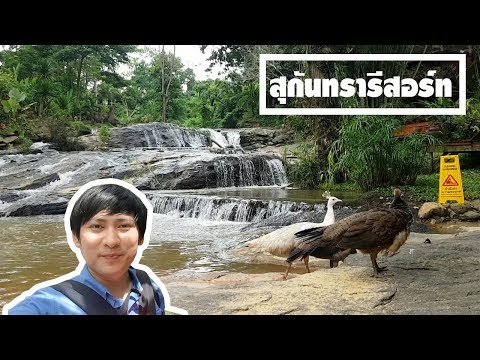 ธารน้ำตกสุดสวย!! ธรรมชาติเกินจินตนาการ ในสุกันทรารีสอร์ท แม่ริม เชียงใหม่