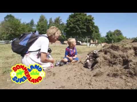 Klappegeder og kid