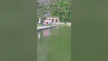 Vlogs 13 Báo cá - Hồ Câu Minh Ngọc 0828152222 Thôn Khúc Giản, Xã An Tiến, Huyện An Lão, Hải Phòng