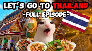 CAT MEMES: FAMILY VACATION COMPILATION TO THAILAND + EXTRA SCENES