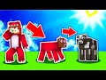 ANIMALES POR UN DIA EN MINECRAFT 😱 Raptor y Timba en Minecraft