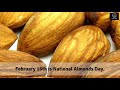 ALMONDS NUTRITION FACTS AND HEALTH BENEFITS/ FOODI