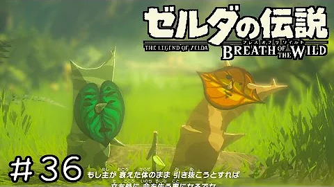 Download コログ かわいい Mp4 Mp3