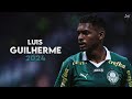 Luis guilherme 2024  insane skills assists  goals  palmeiras talent 