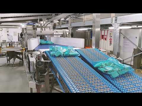 High speed packaging for frozen pastry products - video from Pattyn