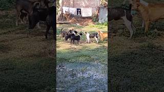 3vs7 wwwfacebookcomsharer18egydbc9fhttpswwwfacebookcomsharer1b27kpkk7n