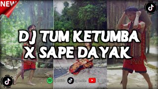 Download lagu DJ TUM KETUMBA X SAPE DAYAK MENGKANE STYLE VIRAL TIKTOK TERBARU!!