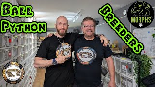 Ball Python Breeders Spotlight Series. New Forest Morphs.