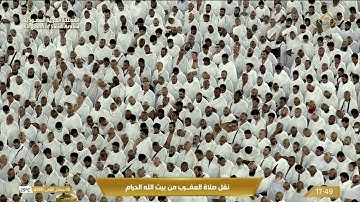 سورة البلد | الشيخ فيصل غزاوي