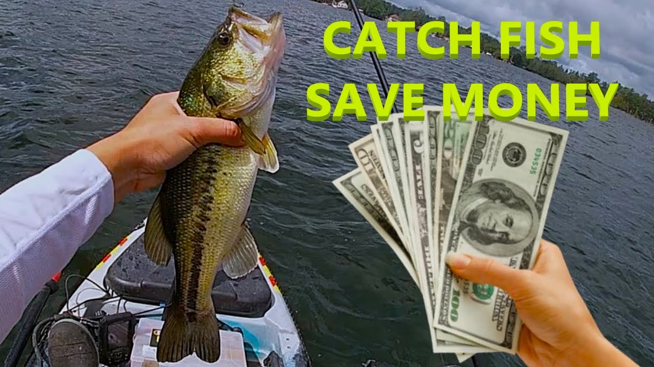 Bass Fishing Using Inexpensive Gear!  Catch Fish, Save $!