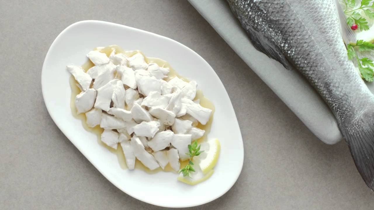 Cat Gourmet King of the World Boat