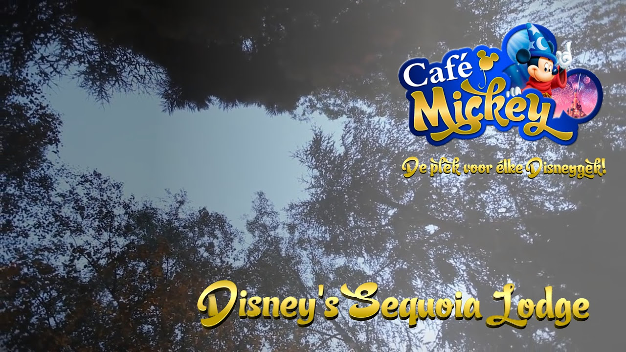 Café mickey • disney's sequoia lodge Ingerichte kamers Aziatische