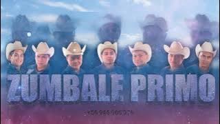 Grupo Zúmbale Primo - Cinco Días
