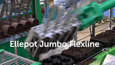 Ellepot machine Jumbo Flexline for automation of your propagation.