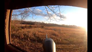 DEER HUNTING 11/26/2020 Yadkin County NC