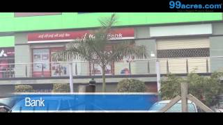 Sector 45-Gurgaon-L2459