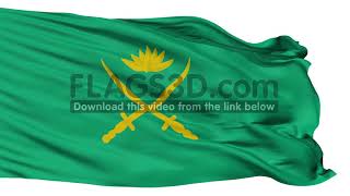 Bangladesh Army Flag Isolated Seamless Loop screenshot 5