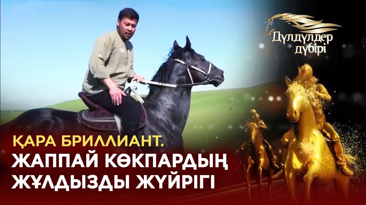 Қара бриллиант. Жаппай көкпардың жұлдызды жүйрігі. «Дүлдүлдер дүбірі»