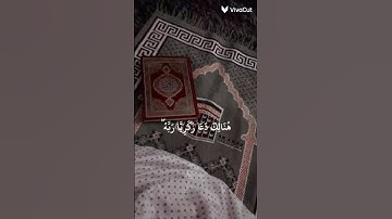 تلاوه أفضل من رائعه للشيخ ياسر الدوسري(( هنالك دعا زكريا ربه )) #المصحف