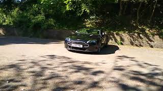 Aston Dogging