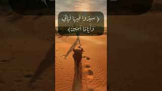 تلاوة خاشعة من سورة سبأ الآية ١٨بصوت#عبدالله_الموسى #حالات_واتس#القرى#ليالي #آمنين#أسفارنا#أحاديث