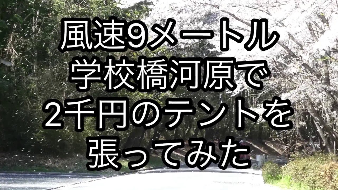 風速9メートル学校橋河原で二千円のワンタッチテント張ってみた Youtube